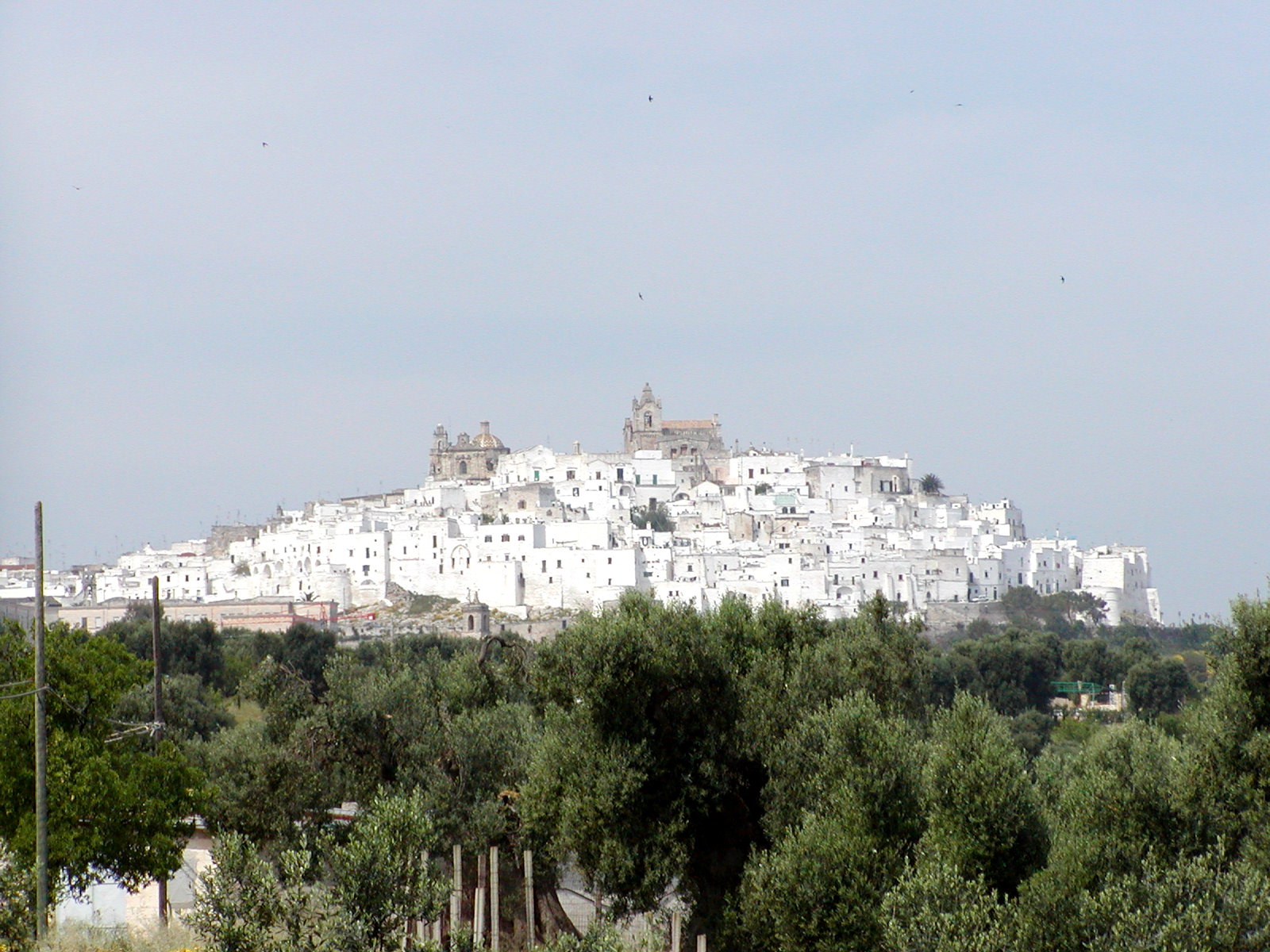 Ostuni - LaTerradiPuglia.fr