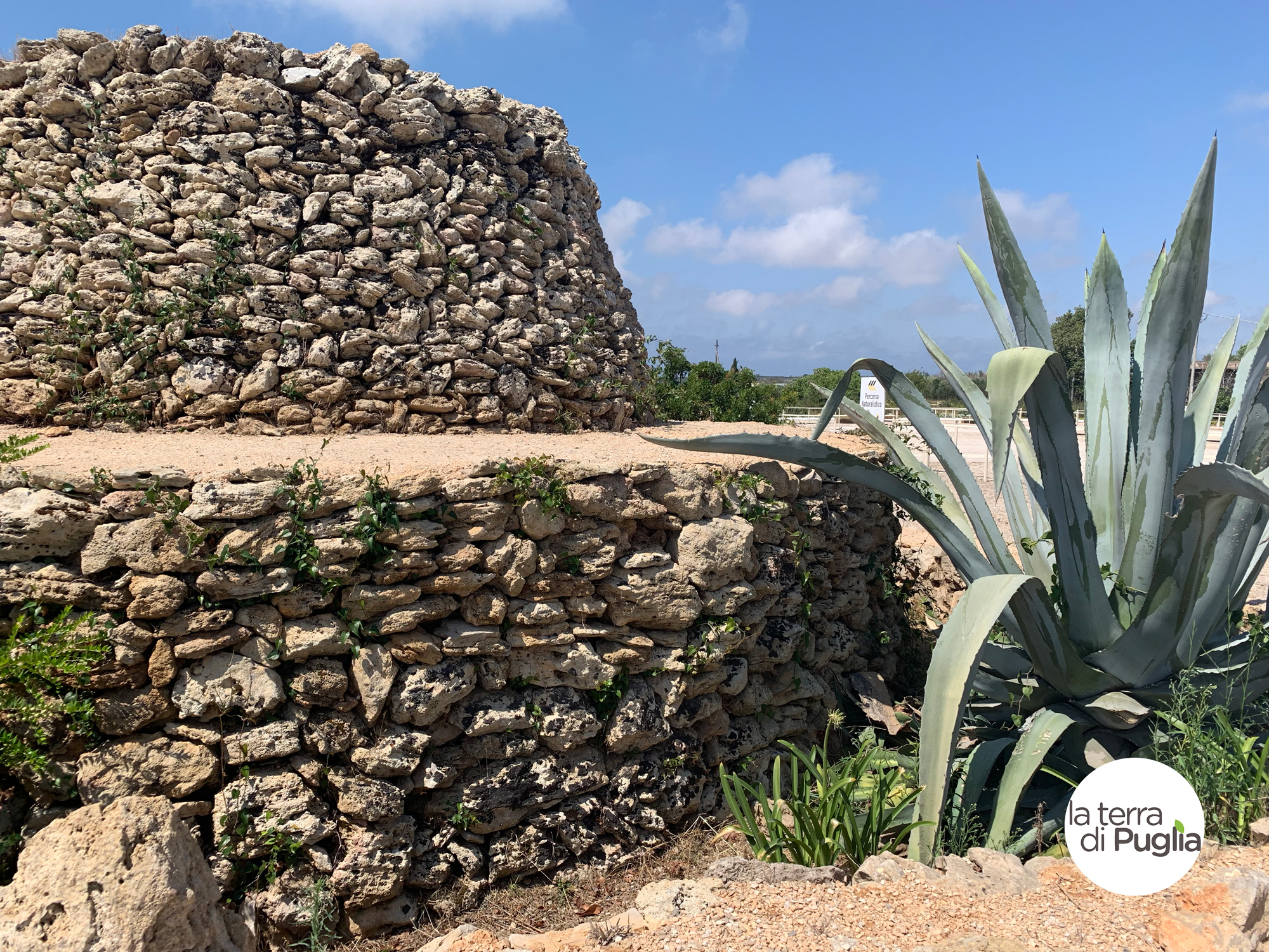 Pouilles Trullo Salento - LaTerradiPuglia.fr