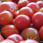 Recette de la sauce tomate des Pouilles