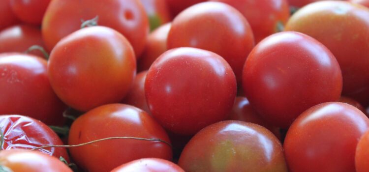 Recette de la sauce tomate des Pouilles