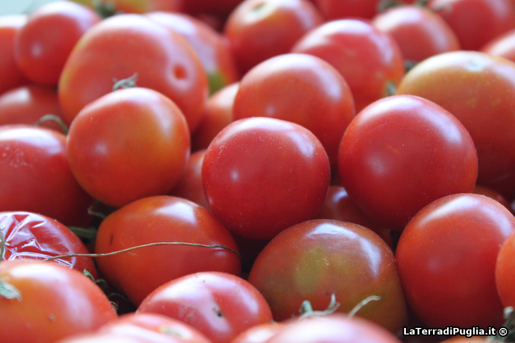 Recette de la sauce tomate des Pouilles