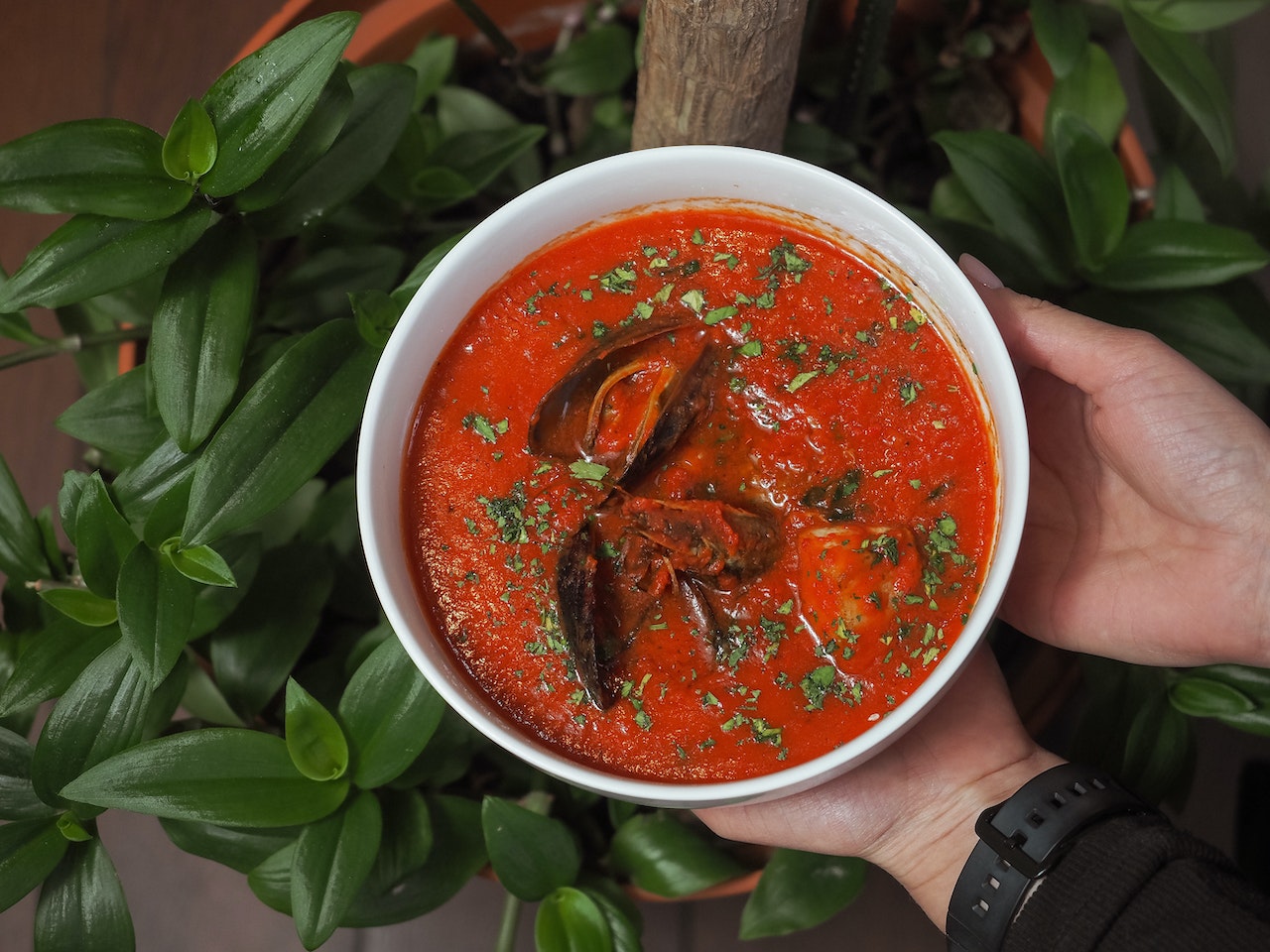 Purée de tomates - LaTerradiPuglia.fr