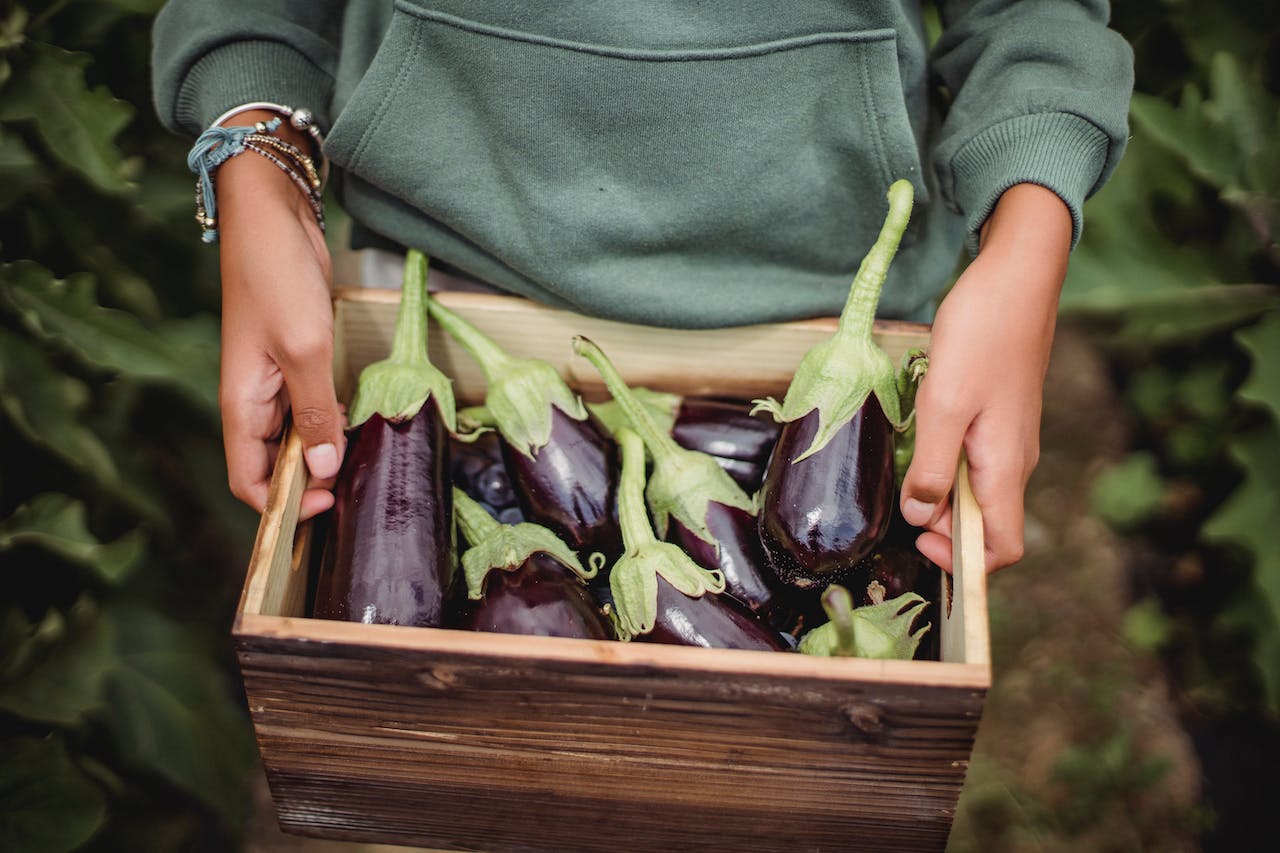 filet d'aubergines - LaTerradiPuglia.fr