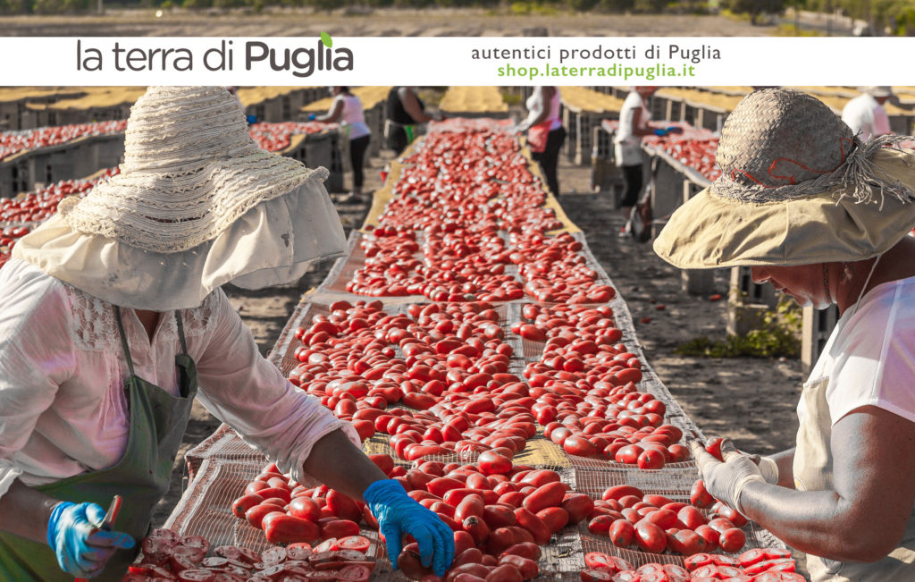 saveurs des Pouilles - Produits des Pouilles - Laterradipuglia.fr