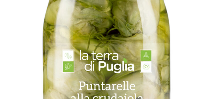 puntarelle alla crudaiola