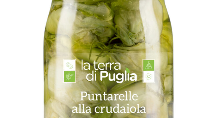 puntarelle alla crudaiola - LaTerradiPuglia.fr