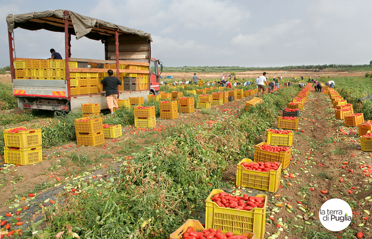 sauces des Pouilles