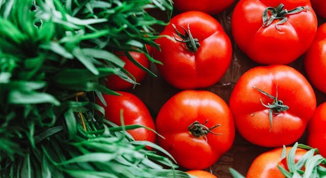 tomates pelées