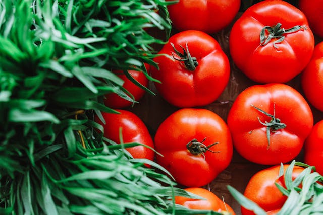 tomates pelées